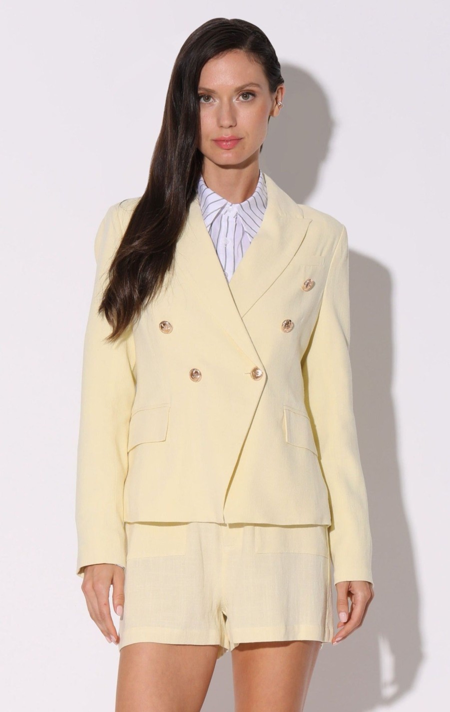 Walter Baker Phelps Blazer, Lemonade | Jackets