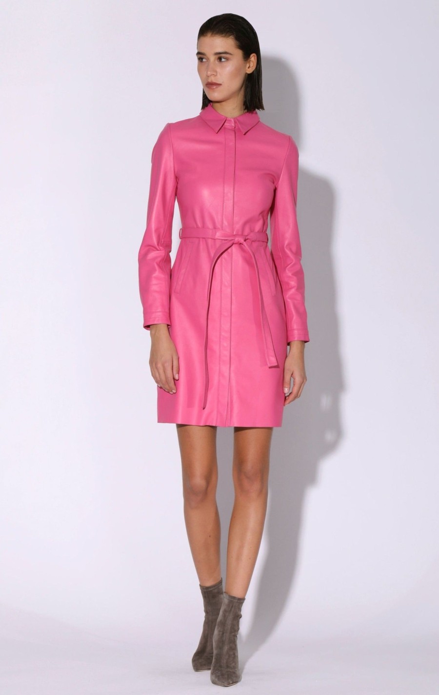 Walter Baker Clara Dress, Candy | Dresses