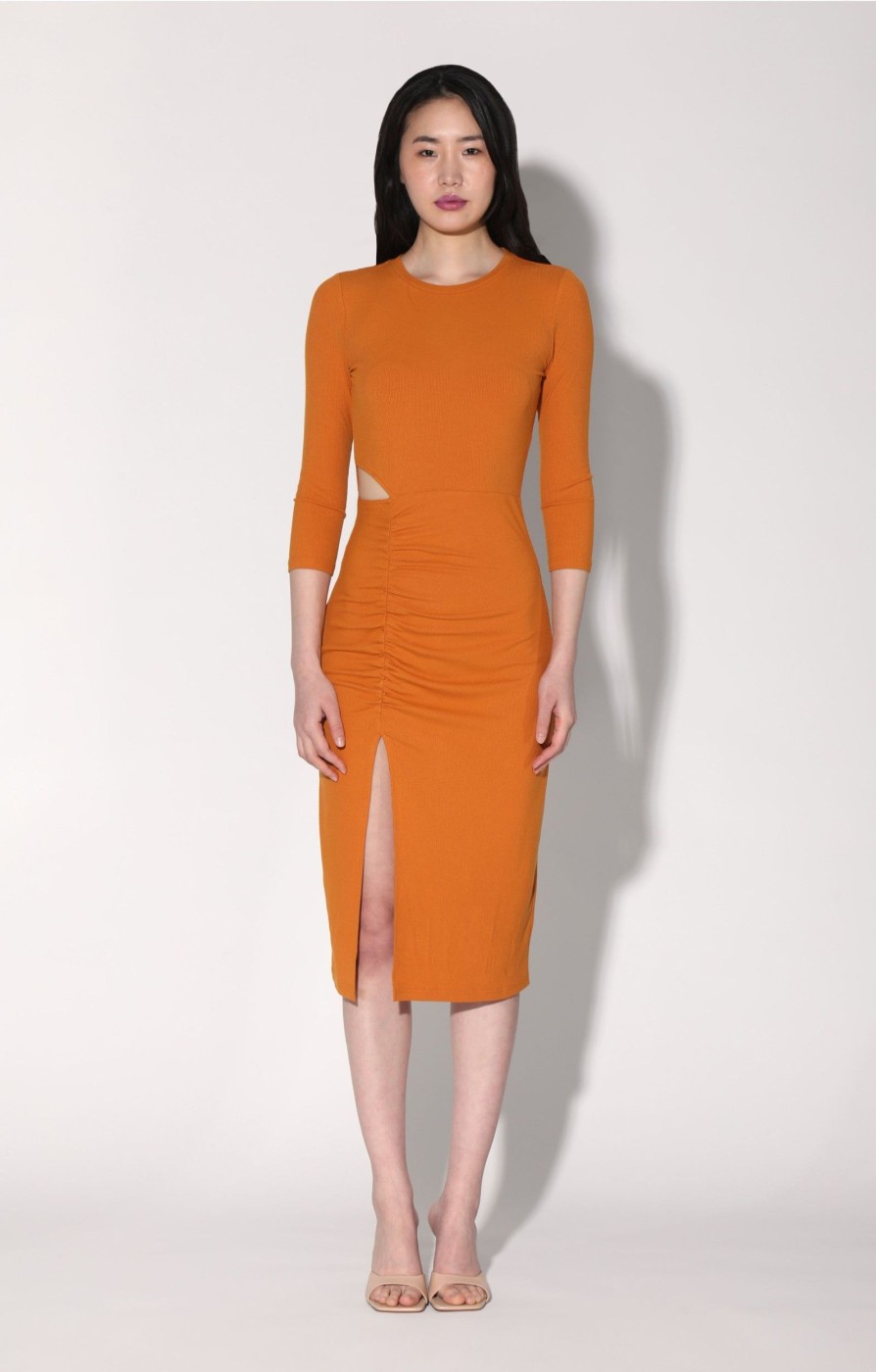 Walter Baker Kalani Dress, Rust | Dresses