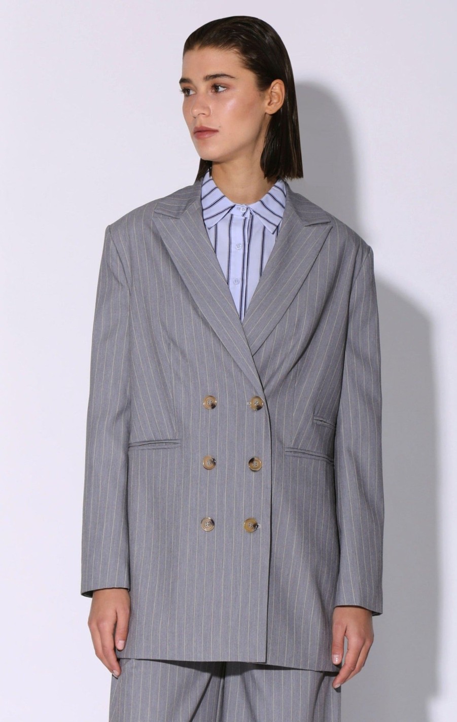 Walter Baker Kamari Blazer, Heather Pin Stripe | Jackets