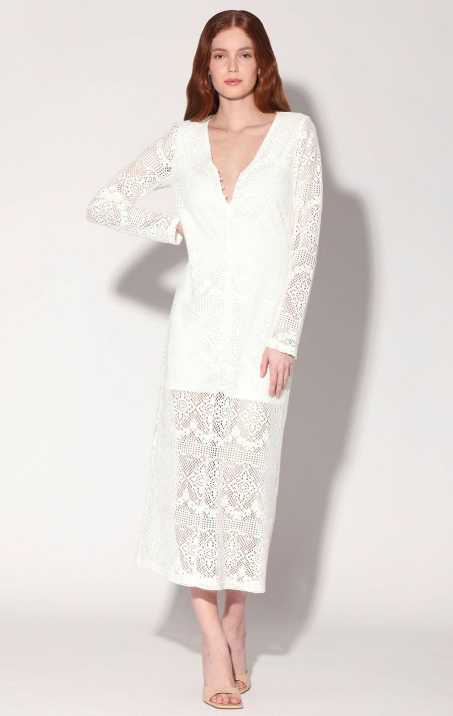 Walter Baker Estela Dress, Marquee Lace | Dresses