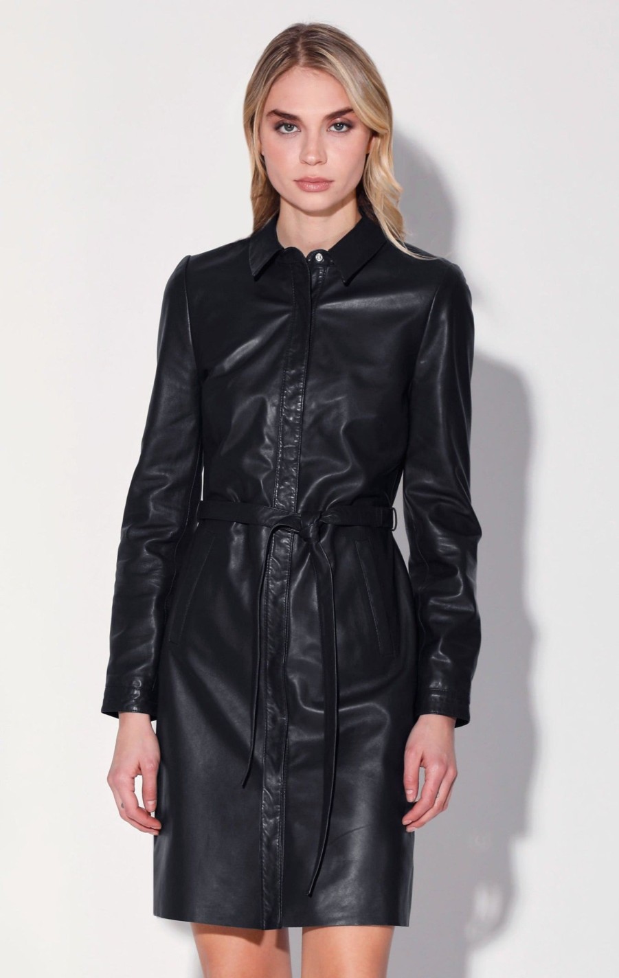 Walter Baker Clara Dress, Black-Leather | Leather